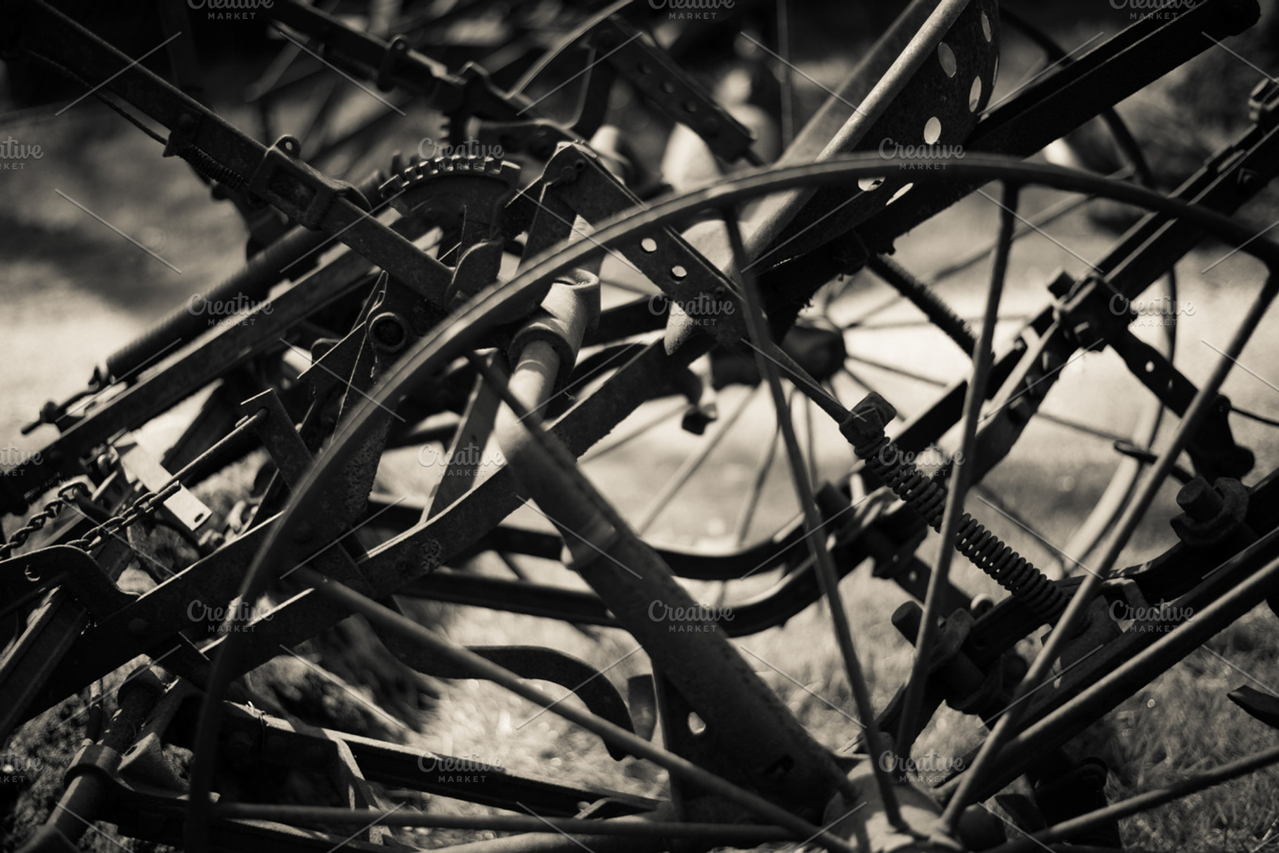 Top Gear, a Transportation Photo by Martin Varallo