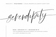 Wild Peonies | Stylish Modern Font, a Script Font by Pink Coffie (Thumbnail 10 of 16)