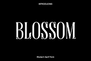 Blossom - Modern Serif Font, a Serif Font by Luna Shop (Thumbnail 1 of 8)