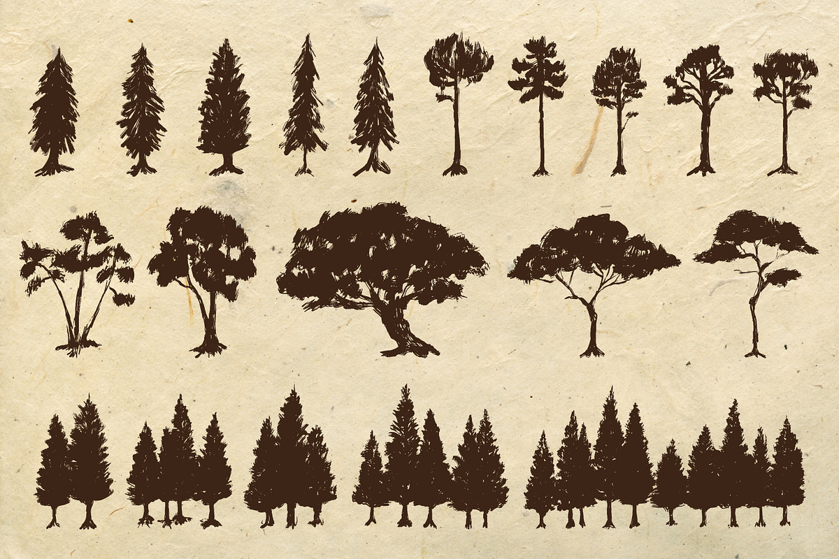 Trees Hand Drawn Illustrations, an Illustration by Artolabs (Photo 2 of 5)