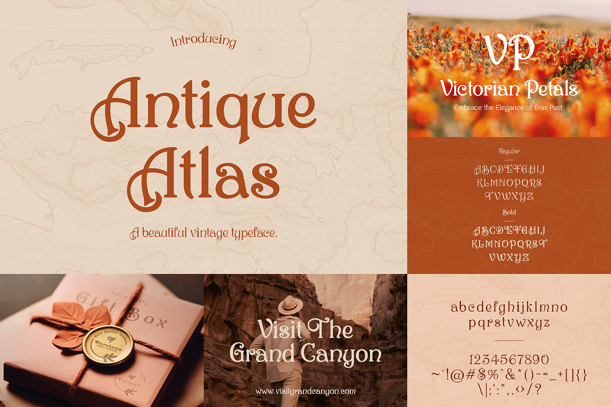 Pirate Font Bundle - 100 Fonts!, a Serif Font by HipFonts (Photo 16 of 18)