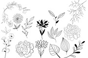 Procreate Stamps Floral II, a Brush Add-On by Li Zamperini (Thumbnail 2 of 3)