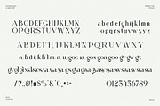 Wildora - Elegant Modern Serif, a Serif Font by Luna Shop (Thumbnail 5 of 6)