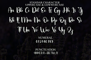 Vintage Glaudusa, a Handwritten Font by FreshTypeINK (Thumbnail 2 of 8)