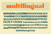 Ailey Display, a Serif Font by Graptail (Thumbnail 16 of 16)