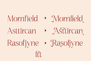 Nagista Modern Serif Font