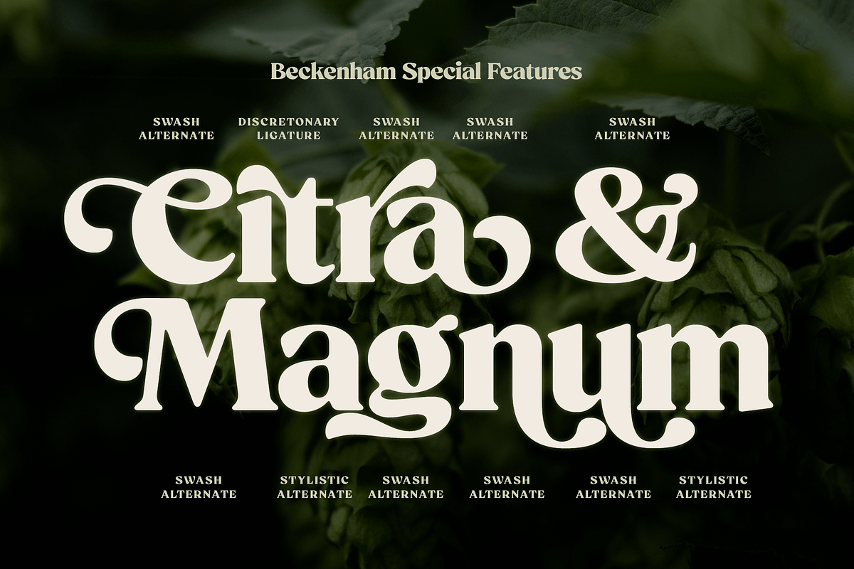 Beckenham Retro Serif, a Font by Fenotype (Photo 2 of 14)