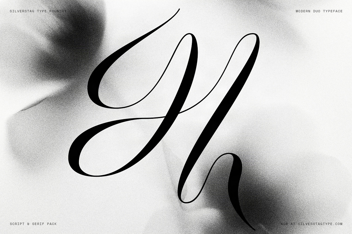 Hazel Shore - Serif & Script Duo, a Serif Font by SilverStag Type Foundry (Photo 22 of 30)