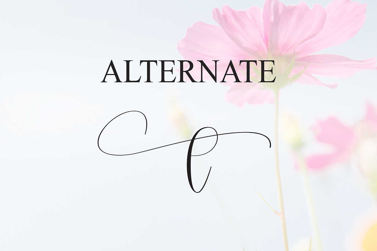 Beautiful | Script Font, a Handwritten Font by Scratchones (Photo 8 of 9)