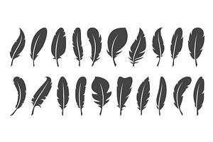 Feather silhouettes. Flat style, an Object Illustration by YummyBuum