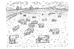 Cows graze in the meadow. Vintage, an Animal Illustration by MoreVector