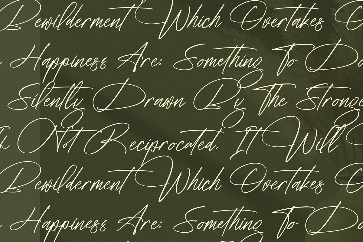 Fantaslife Radiostar Signature Font preview 2