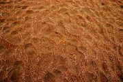 Multicolored sand on the seashore, a Background Photo by Schreibikus (Thumbnail 4 of 4)