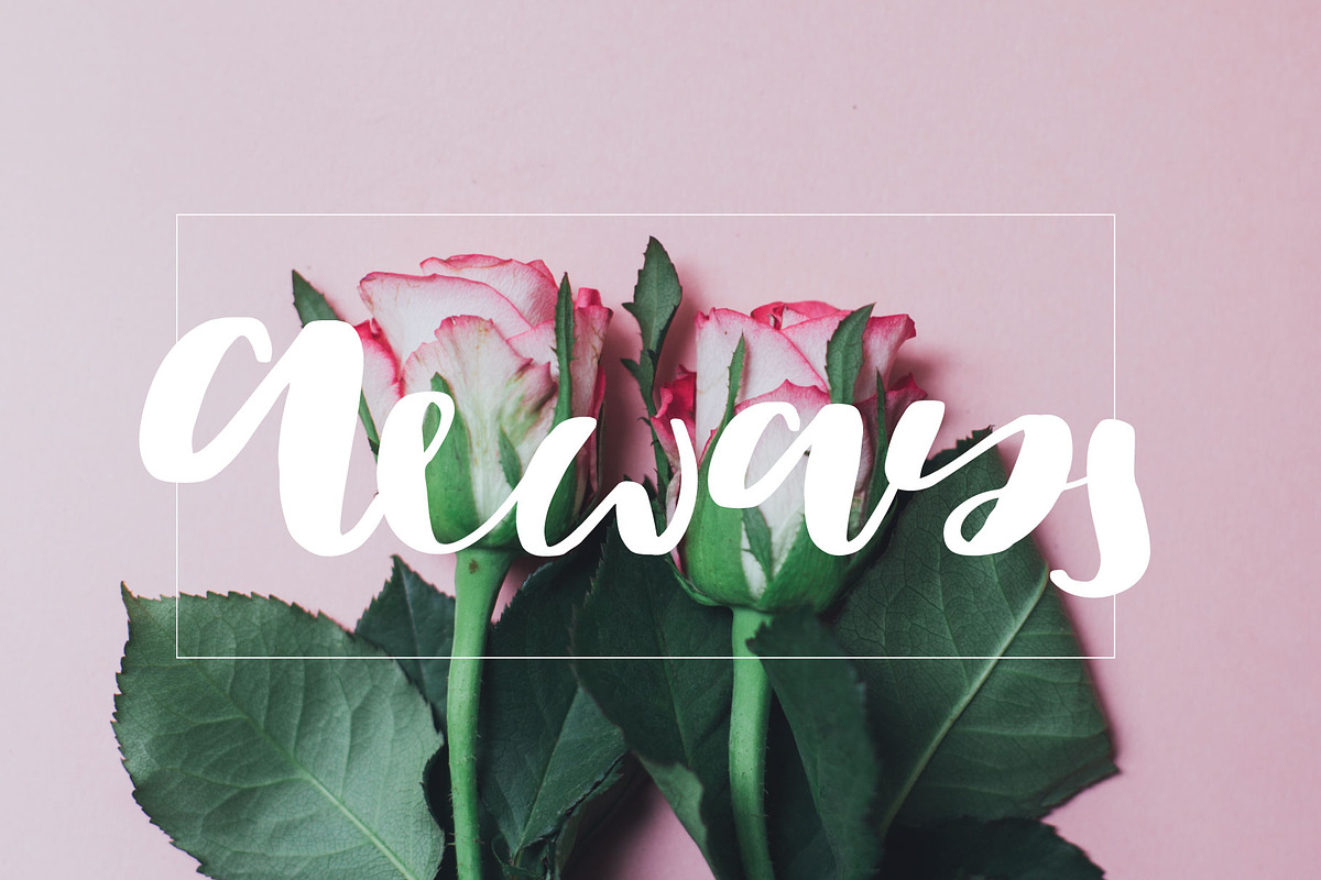sunset font preview 2