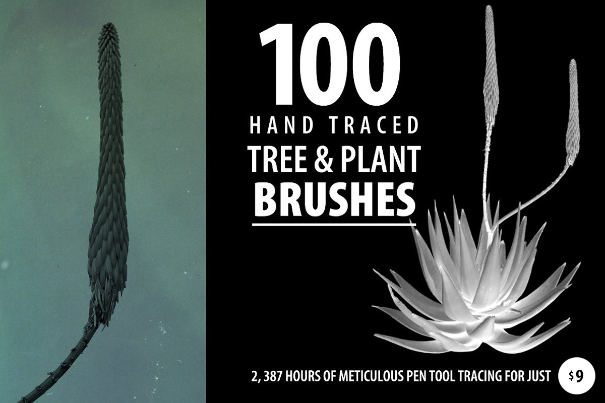 Botanic Shed Sale 90% Off, a Graphic by envirographic (Photo 7 of 8)