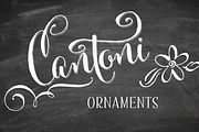 Cantoni Ornaments Font, a Symbol Font by Debi Sementelli (Thumbnail 1 of 2)