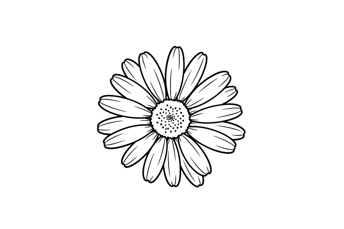 Daisy Flower Line Art Vector Bundle0, an Illustration by jahid234 (Photo 34 of 51)