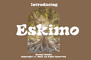 Eskimo, a Script Font by Zaenal Studio (Thumbnail 1 of 11)
