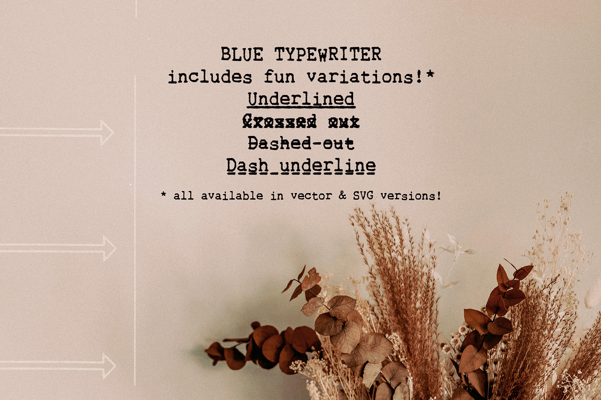 Blue Typewriter SVG font, a Serif Font by Ana's Fonts (Photo 5 of 10)
