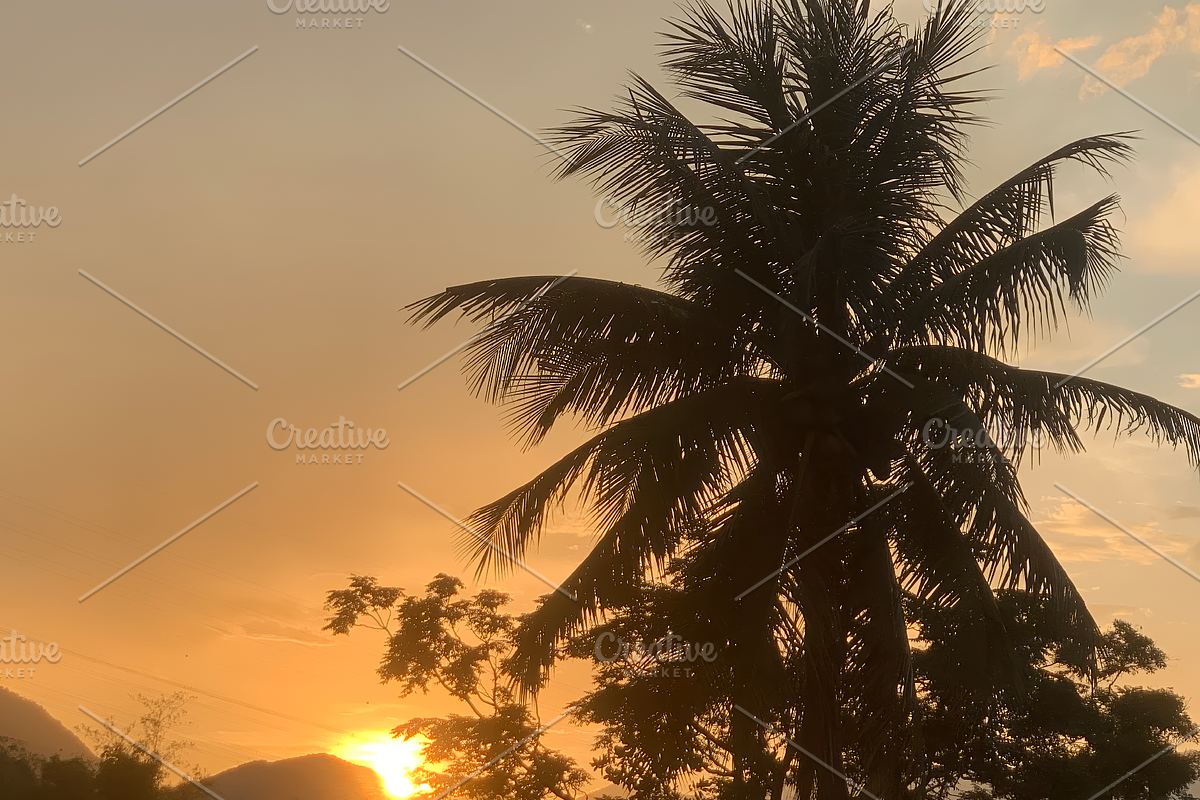 Sunset Light Over Rural Environment, a Nature Photo by 3D assets for your awesom (Photo 3 of 3)