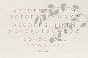 Unlikely Lily - A Hand-Drawn Serif, a Serif Font by Brackish Creative (Thumbnail 3 of 5)