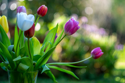 Time of gardening