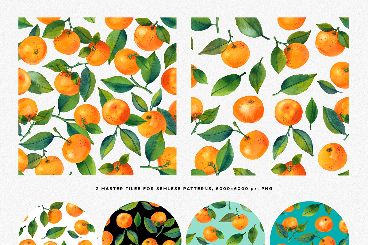 Watercolor Mandarin Fruits Vol. 2, a Food Illustration by Olga Begak Art & Design (Photo 5 of 8)