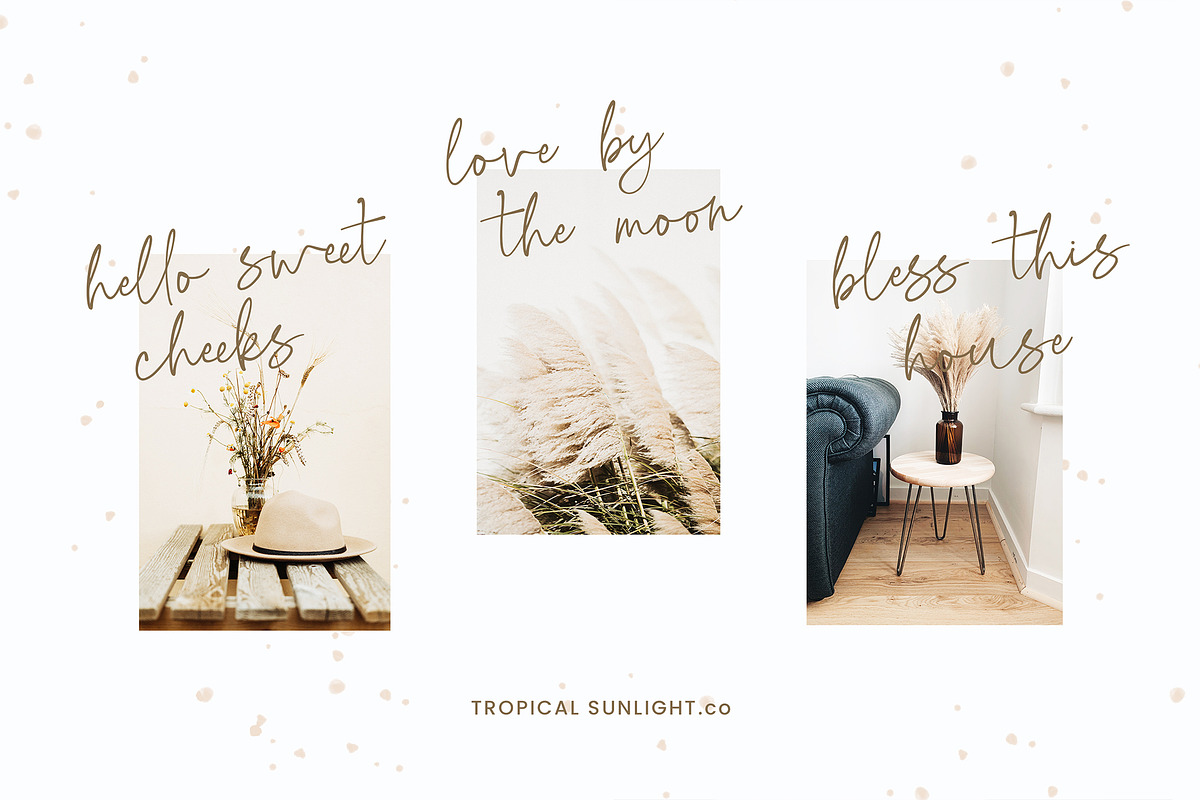 Rosegold House - Modern Font Duo, a Serif Font by TropicalSunlightCo. (Photo 3 of 13)