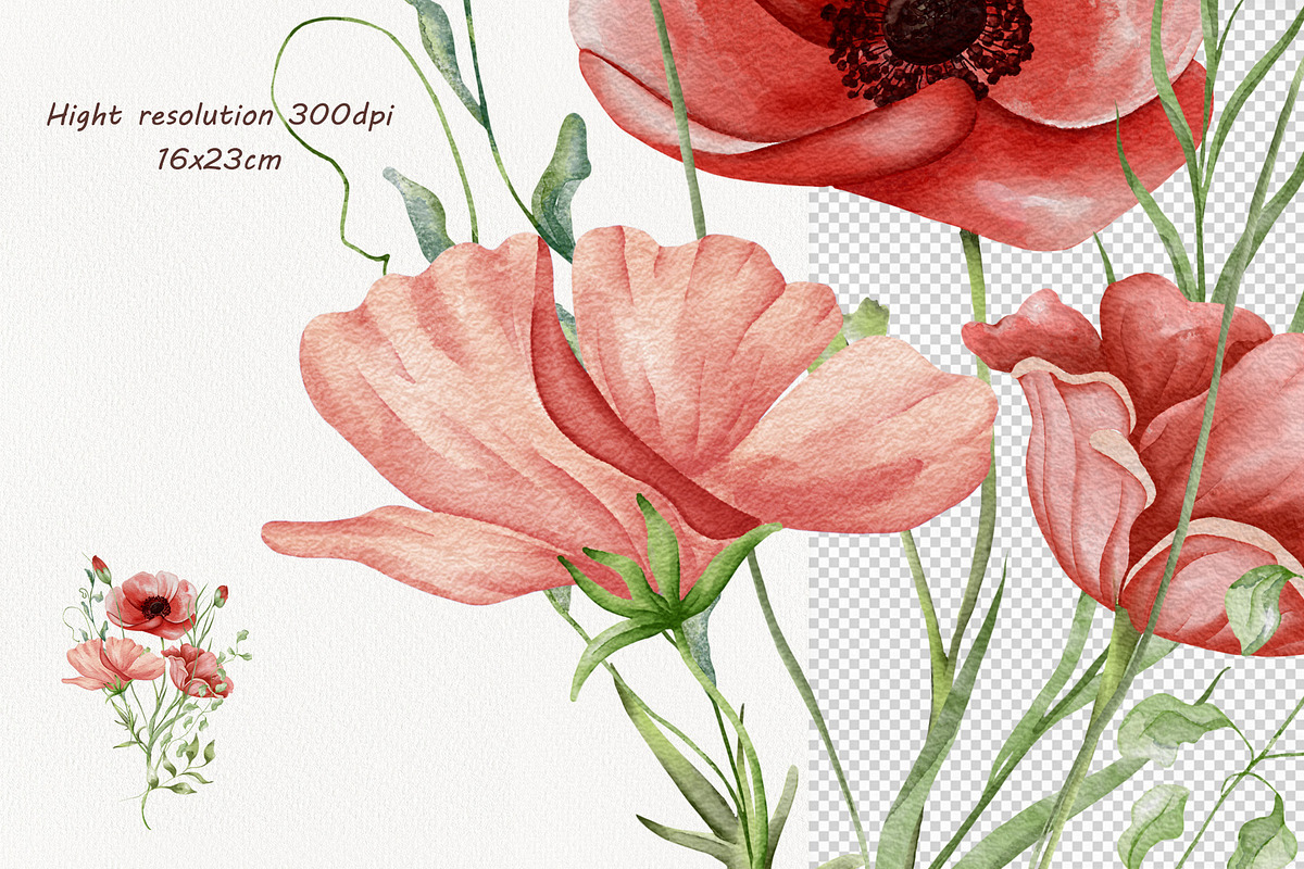 Watercolor Wildflowers Botanical Set, a Decorative Illustration by BarvArt (Photo 20 of 22)