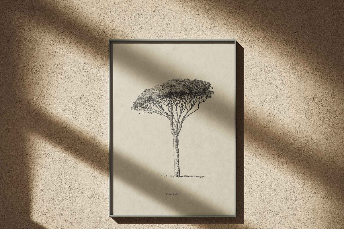 Vintage Tree Vector Bundle Vol. 2, an Object Illustration by Seaquint (Photo 3 of 5)