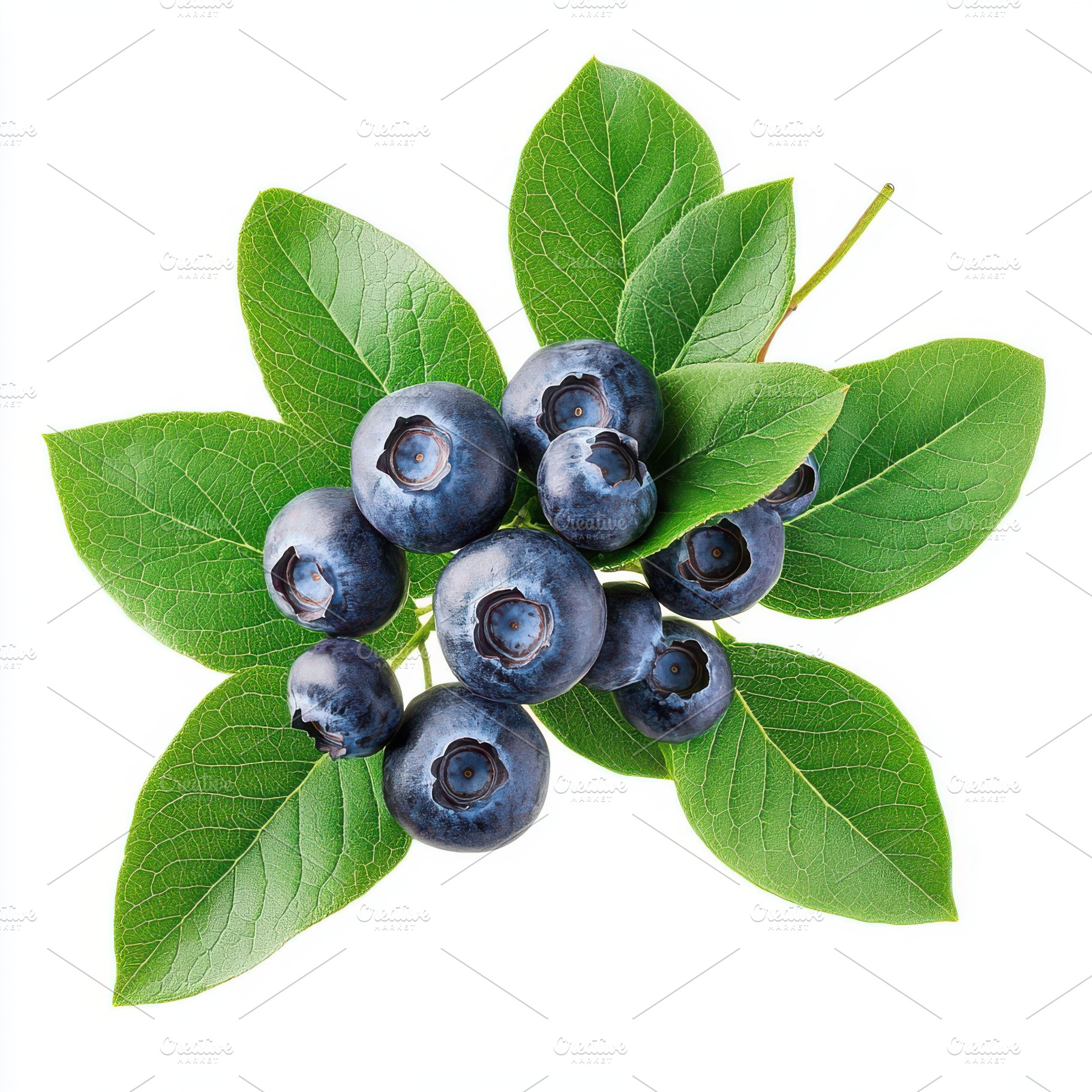 Fresh Blueberries on Green Leaves Na, a Food & Drink Photo by Pixeness Studio