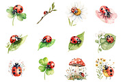 Ladybugs Clipart, an Illustration by Design Market (Thumbnail 2 of 5)