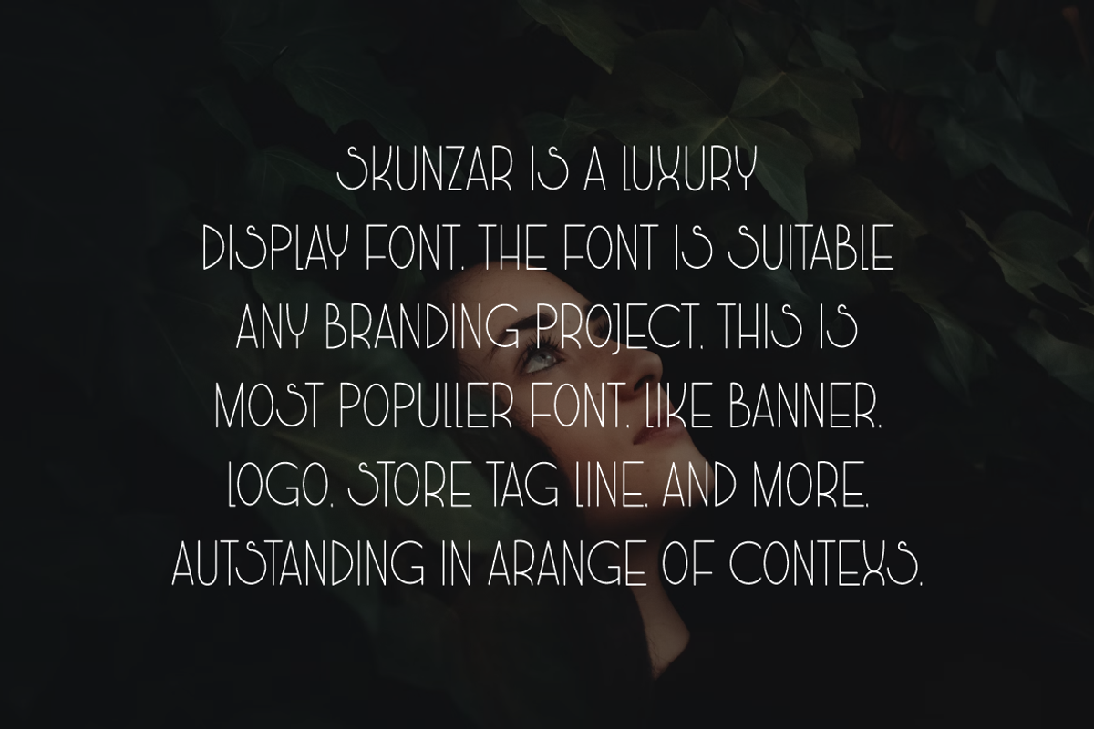 Skunzar - Monoline Font, a Sans Serif Font by Iqsiart Studio (Photo 2 of 6)