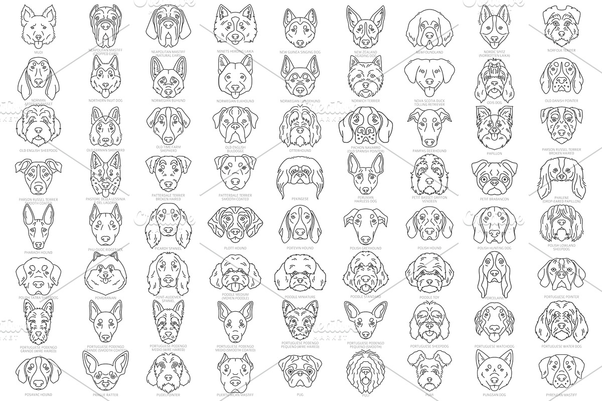 Dog Head Silhouettes Bundle, an Object Graphic by pet design shop (Photo 8 of 12)