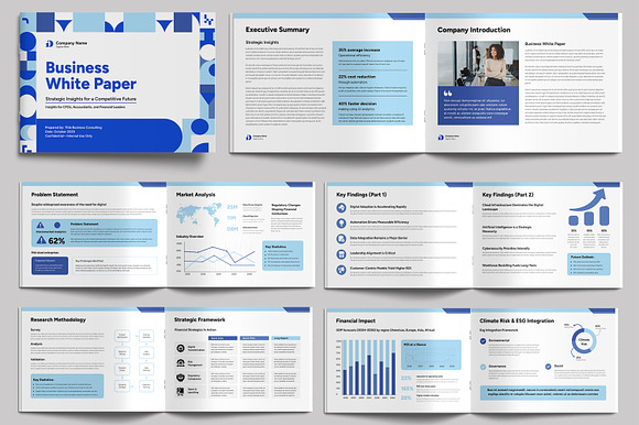 White Paper in Business Marketing preview 7