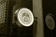 1500 Bird Logo Art Set, a Solid Icon by Creative Stall (Thumbnail 5 of 38)