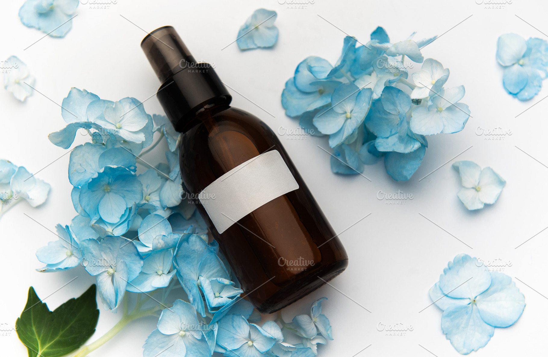 Cosmetic spray bottle with blue hydrangea petals, a Health & Medical Photo by Olena Rudo