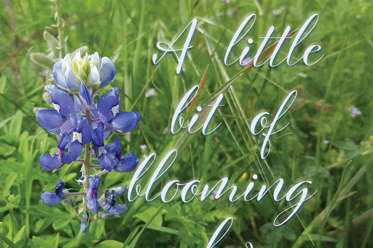 Cinque Donne Font Family preview 8