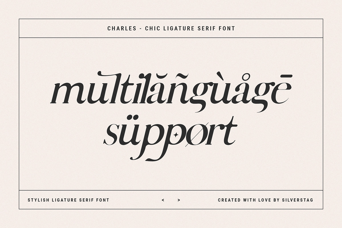 Charles - Ligature Serif Font Family, a Serif Font by SilverStag Type Foundry (Photo 24 of 32)