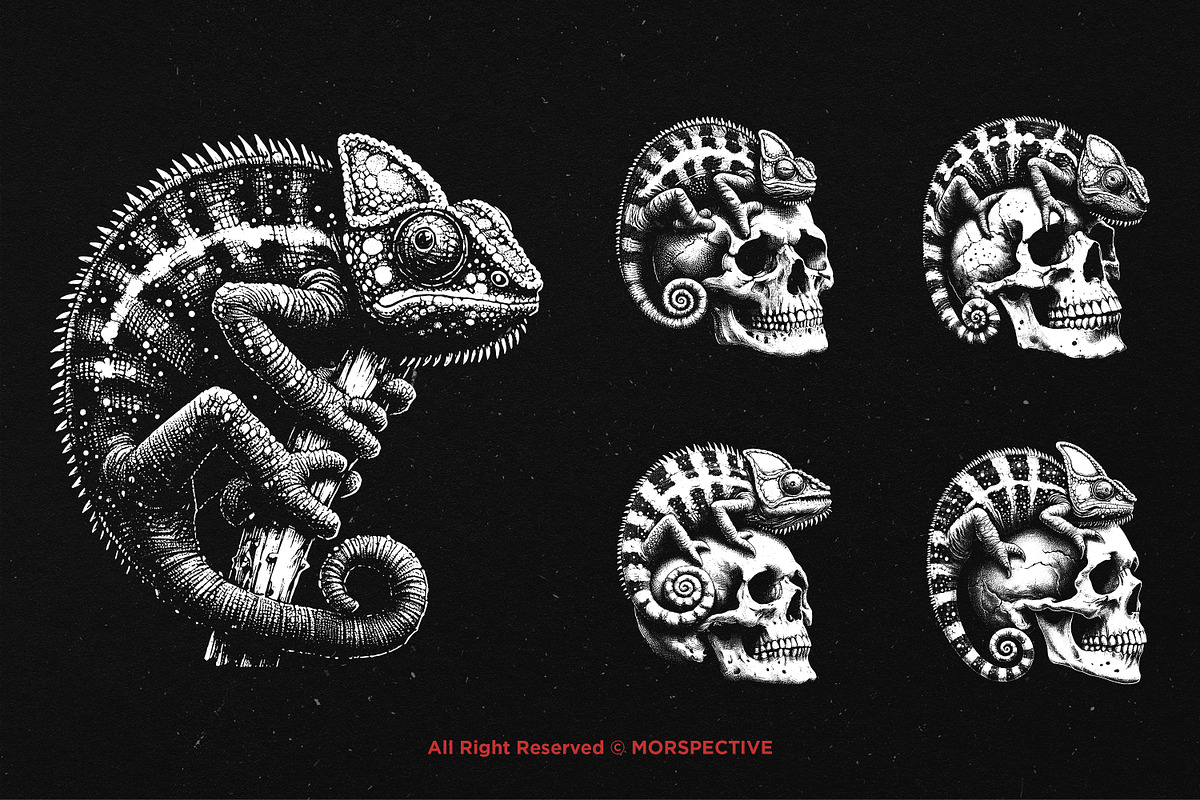 10 Bundle Dark Art Chameleon Lizard, an Illustration by Morspective (Photo 5 of 7)