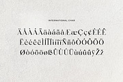Undergrow Vintage Serif Font, a Serif Font by UICreative (Thumbnail 12 of 13)