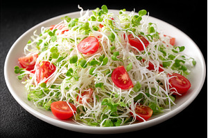 A fresh salad comprised of tomatoes, a Food & Drink Photo by ZinetroN