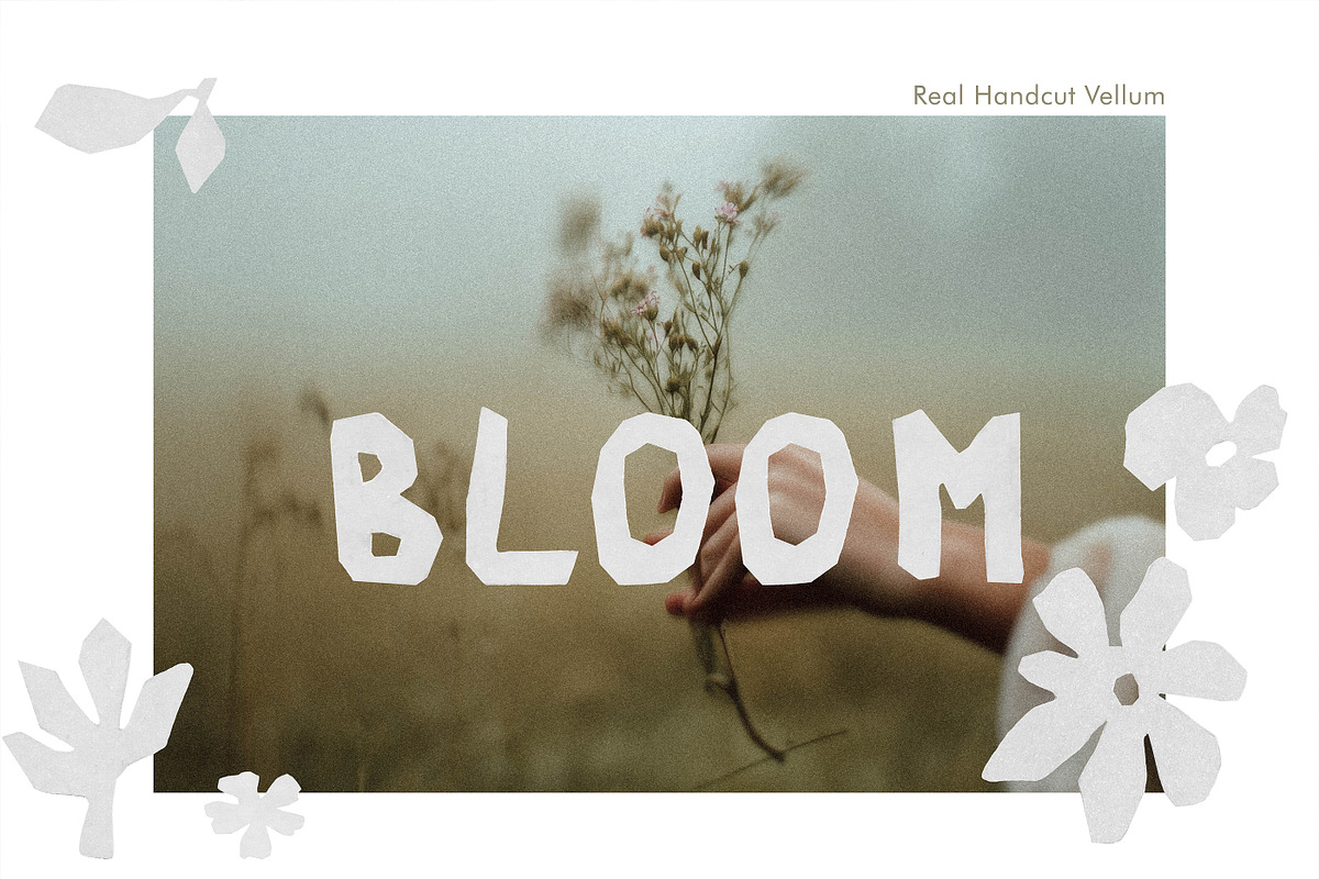 Handcut Vellum Letters & Blooms, an Object Graphic by anastasiia.art (Photo 2 of 5)