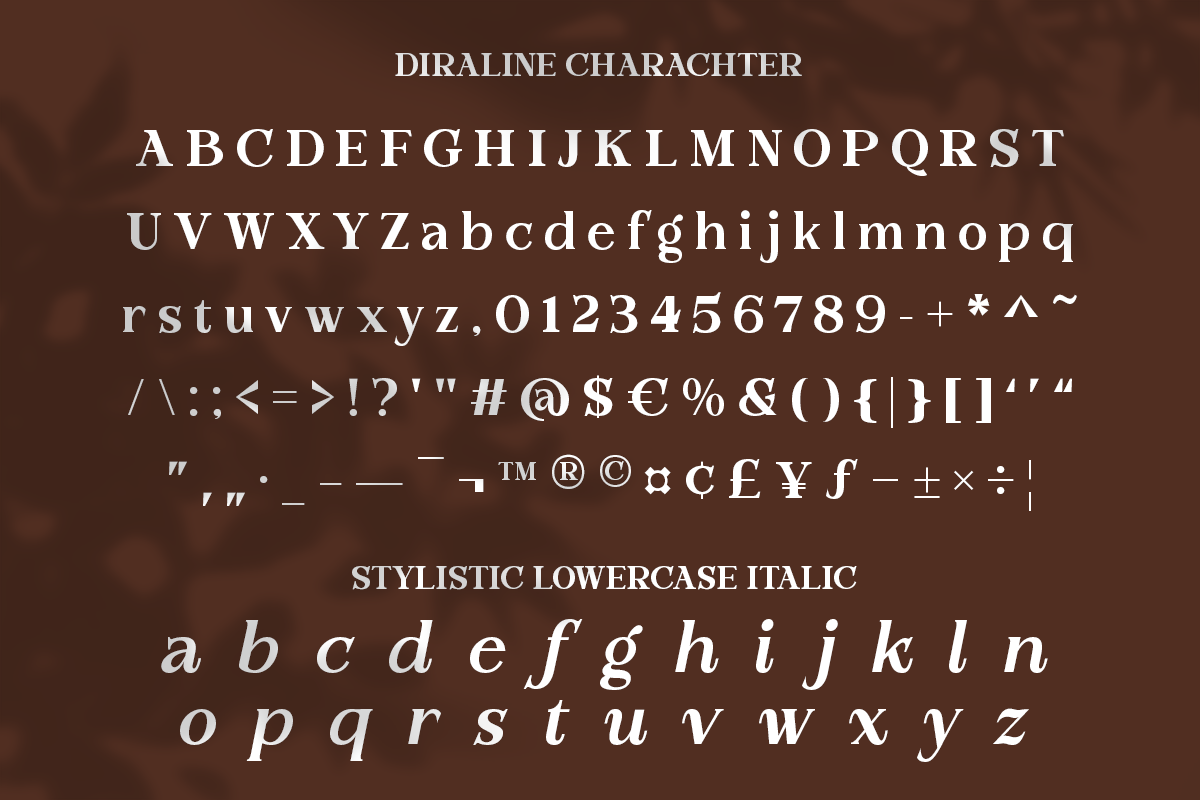 Diraline - Modern Serif Font, a Serif Font by RagamKata (Photo 9 of 10)