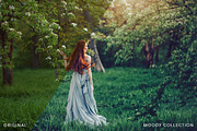 Moody presets for Lightroom + mobile, an Action Add-On by BeArt-Presets (Thumbnail 6 of 18)