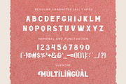 ROTTELY - DISPLAY FONT, a Serif Font by din-studio.com (Thumbnail 9 of 11)