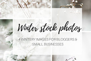 50 % OFF Winter stock photos, a Product Mockup by Nellaino (Thumbnail 1 of 5)