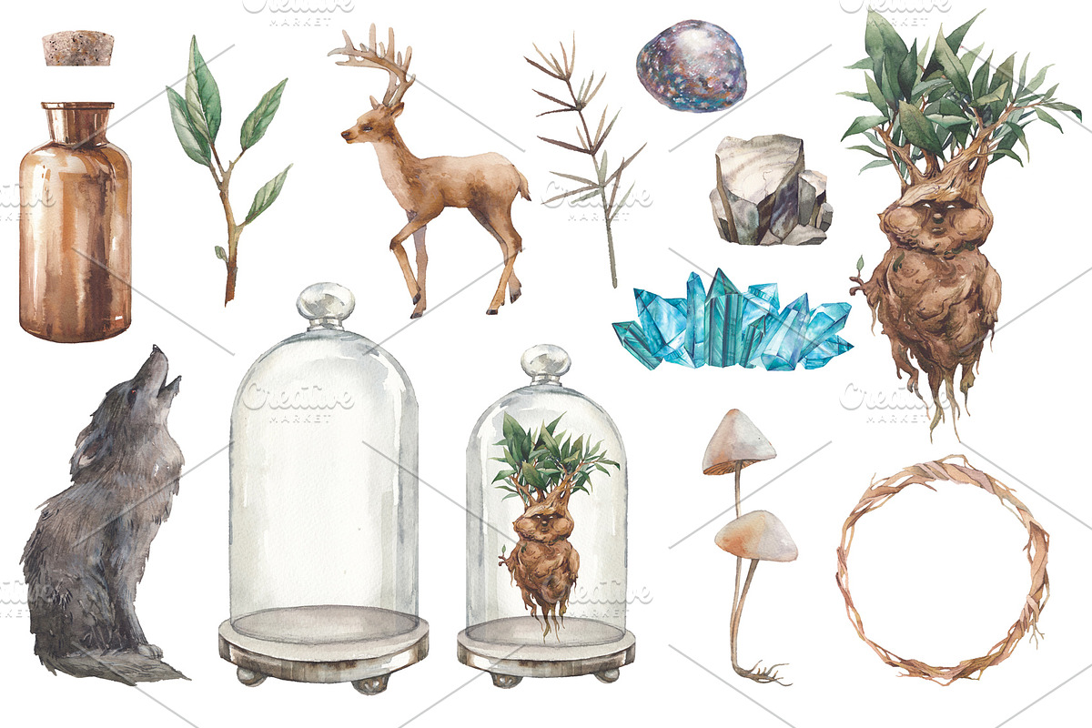 Magic Mandrake, an Illustration by Eisfrei (Photo 2 of 8)