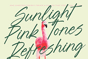 Blynkas Scripte Handwritten Font, a Script Font by Letterena Studios Script (Thumbnail 2 of 15)