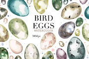 Watercolor Bird Egg Clipart. Easter, an Animal Illustration by NKTKNS (Thumbnail 1 of 4)